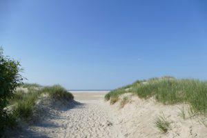 Dunes on the Island of Borkum in Germany