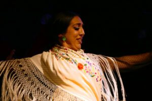 Flamenco Dancer in Granada