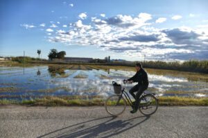 Man cycling at the Albufera de Valencia