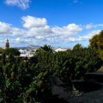 Landscape on the island of Lanzarote