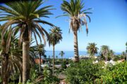 LA GOMERA - How to Explore the Canaries' Ravishing Wild Child by Public Bus
