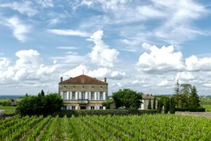 Vineyard in Saint-Émilion