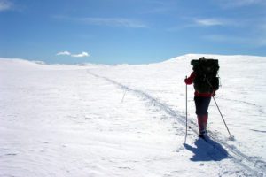 Man on skis in a snowy landscape