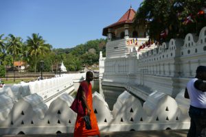 Monk walking in Kandy